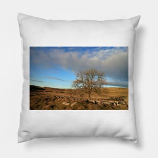 Last Tree Standing Pillow