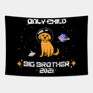 big brother 2021 dog astronaut pregancy announcement Tapestry