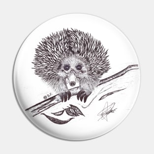 Echidna Pin