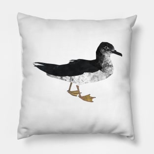 Manx Shearwater (standing) Pillow