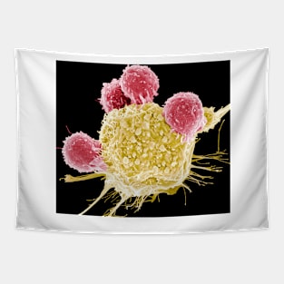 T lymphocytes and cancer cell, SEM (C001/1678) Tapestry