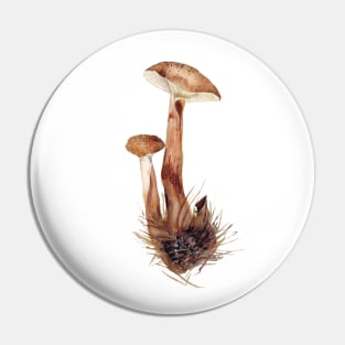 Armillaria mellea Pin