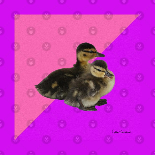 Baby Ducks on Pink Raspberry and Purple Sorbet by ButterflyInTheAttic