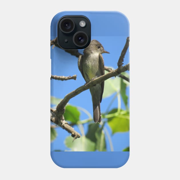 Eastern Wood-Pewee No.1 Phone Case by MaryLinH