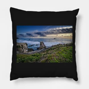 Muriwai (4) Pillow