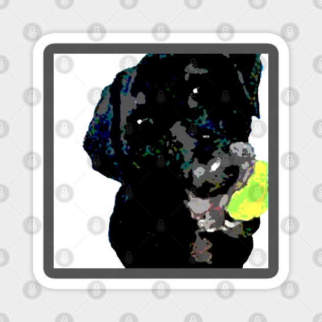 English Black Lab Magnet by Lil' Angel Pet Portraits