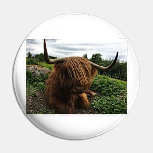 Scottish Highland Cattle Cow 2410 Pin