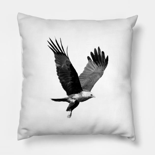 Black eagle Pillow by iamstuckonearth