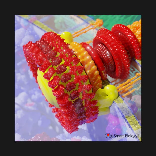 Flagellum by Smart Biology