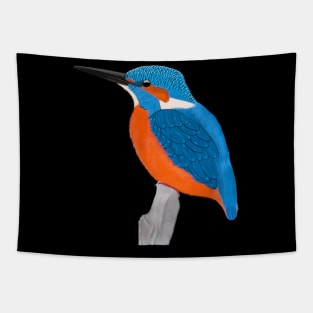 Kingfisher Bird Watching Birding Ornithologist Gift Tapestry