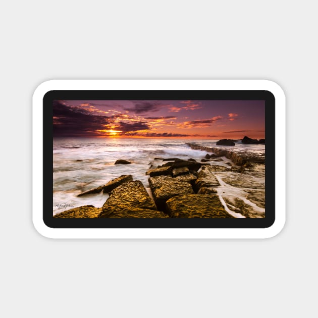 Forresters Beach Magnet by lordveritas