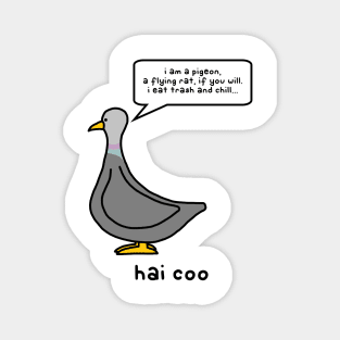 hai coo Magnet