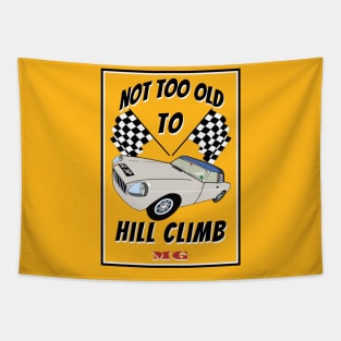 Hill climb MG Tapestry