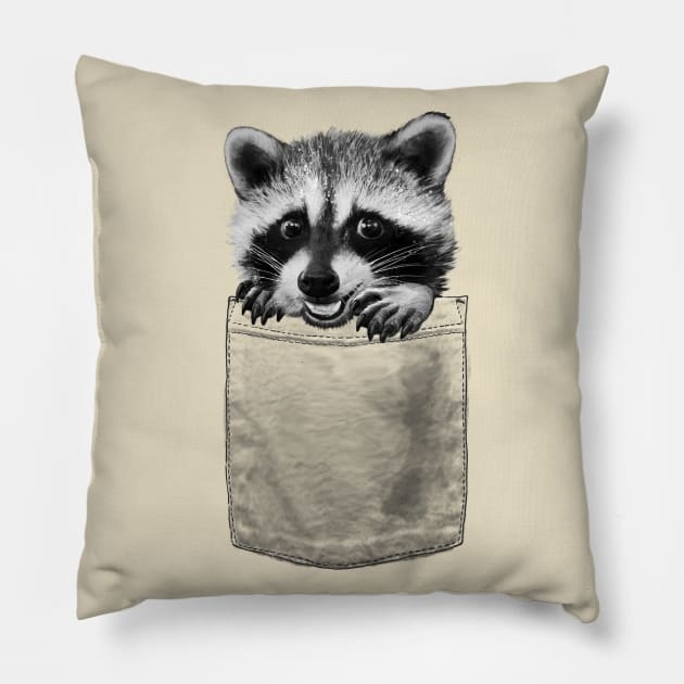 Raccoon in Pocket Pillow by LauraGraves