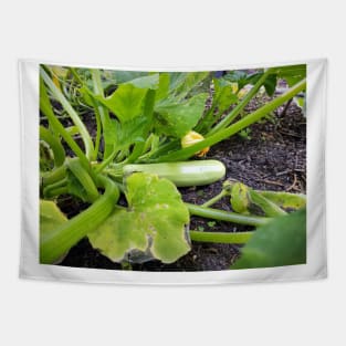 Zucchini Tapestry