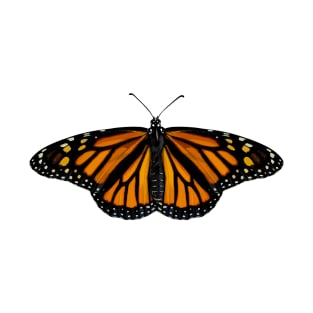 Female Monarch Butterfly T-Shirt