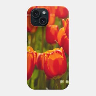 Red Tulip field Phone Case