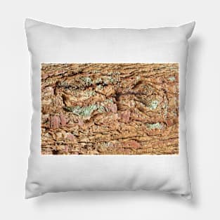 Brown Pine Bark Texture Pillow