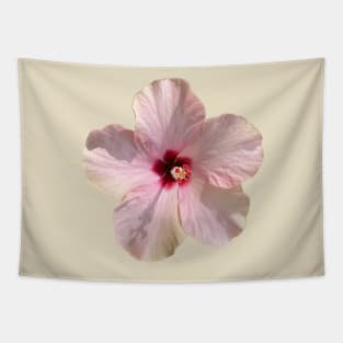 Hibiscus with Dark Pink Center Tapestry