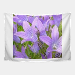 Pretty bluebells Tapestry