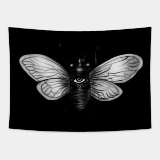 Cicada x Tapestry