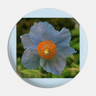 Rhapsody In Blue Pin