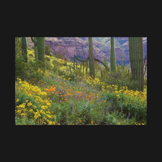 Saguaro Amid Flowering Lupine California Brittlebush Organ Pipe Cactus National Monument by AinisticGina