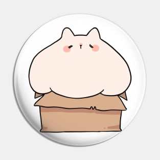 Chubby Cat in a Box Pin