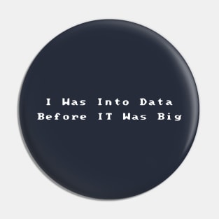 I Was Into Data Before It Was Big Pin