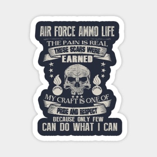 Air Force Ammo Respect Magnet