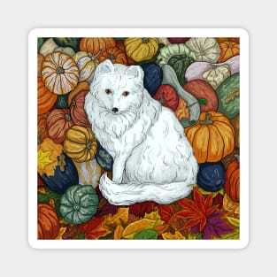 Arctic Fox. October Magnet