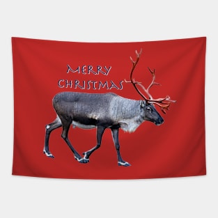 Santa Claus Reindeer Tapestry