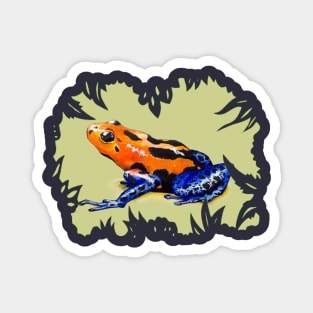 Poison Dart Frog Magnet