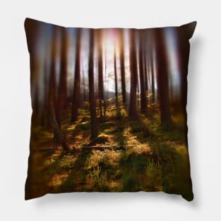 Forest Light 9 Pillow