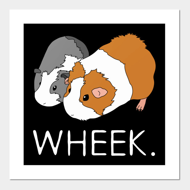 why do guinea pigs wheek