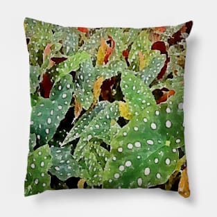 begonia plants Pillow