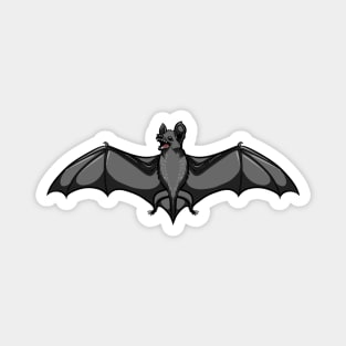 Bat Magnet