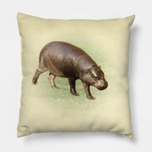 Pygmy hippopotamus Pillow