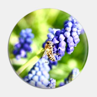 Honey bee XII / Swiss Artwork Photography Pin