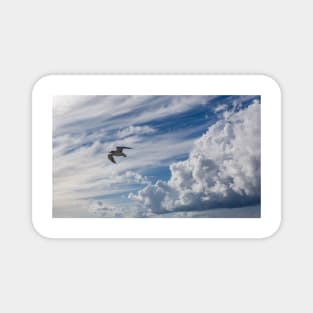 White seagull flying in bright blue sky Magnet