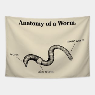 Anatomy of a Worm - Light Tapestry