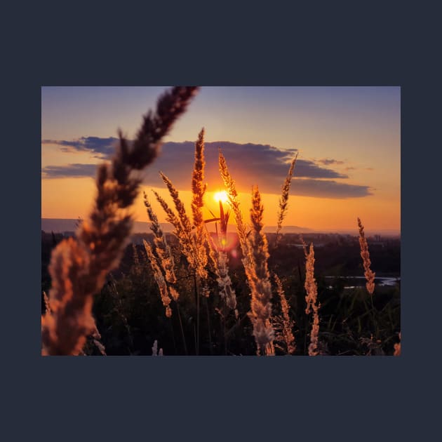 through the golden reed by psychoshadow