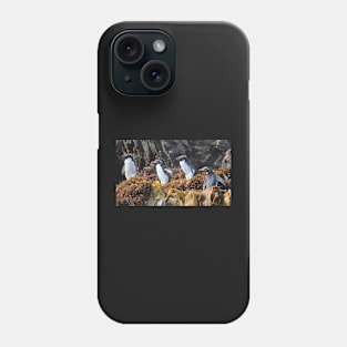 Snares Crested Penguins Phone Case