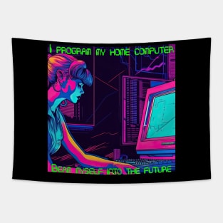 I program my home computer Tapestry