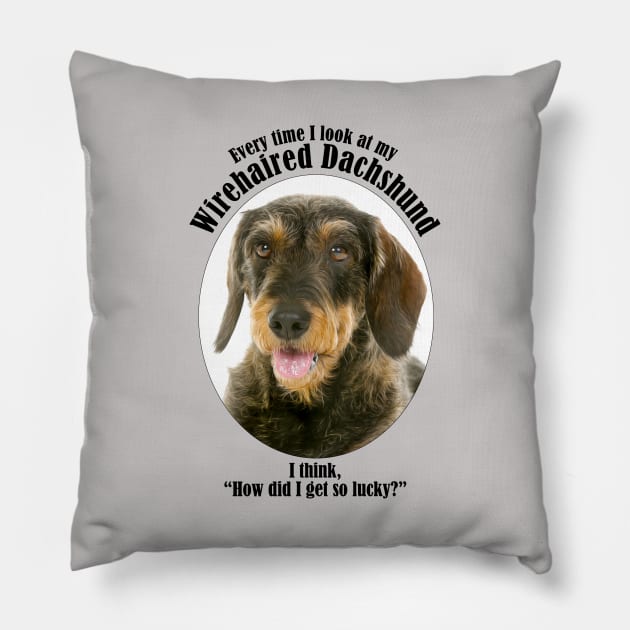 Lucky Wirehaired Dachshund Pillow by You Had Me At Woof