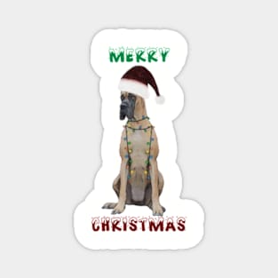 Christmas Great Dane In Santa Hat With Christmas Lights Magnet