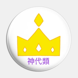 Idol group (wxs r) Pin