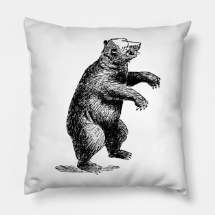 Bear Pillow