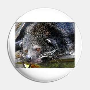 Binturong Pin