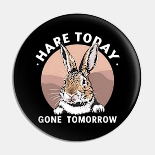 Funny Rabbit Hare Today Gone Tomorrow Pin